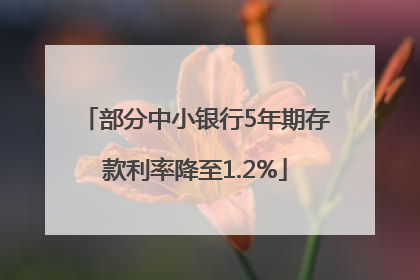 部分中小银行5年期存款利率降至1.2%