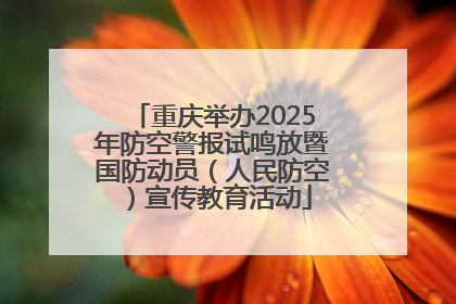重庆举办2025年防空警报试鸣放暨国防动员（人民防空）宣传教育活动