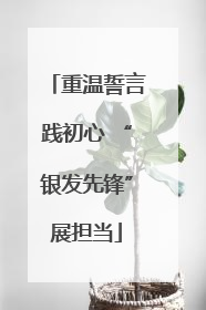 重温誓言践初心 “银发先锋”展担当
