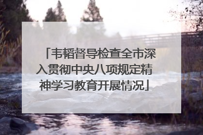 韦韬督导检查全市深入贯彻中央八项规定精神学习教育开展情况