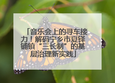 音乐会上的寻车接力！解码宁乡市夏铎铺镇“三长制”的基层治理新实践