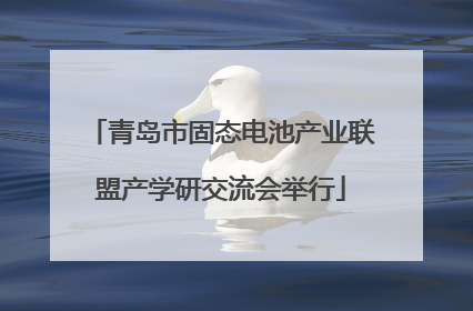 青岛市固态电池产业联盟产学研交流会举行