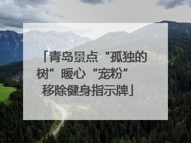 青岛景点“孤独的树”暖心“宠粉” 移除健身指示牌