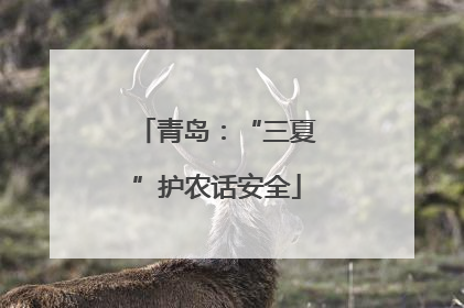 青岛：“三夏”护农话安全