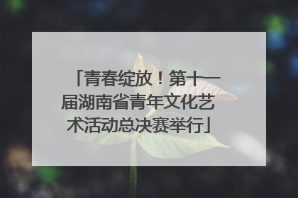 青春绽放！第十一届湖南省青年文化艺术活动总决赛举行