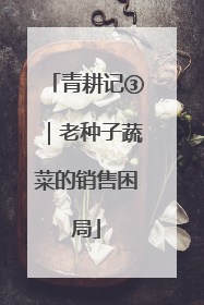 青耕记③｜老种子蔬菜的销售困局