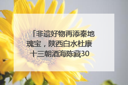 非遗好物再添秦地瑰宝，陕西白水杜康十三朝酒海陈藏30年别具一格