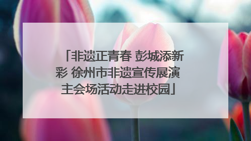 非遗正青春 彭城添新彩 徐州市非遗宣传展演主会场活动走进校园