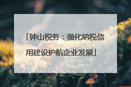 钟山税务：强化纳税信用建设护航企业发展