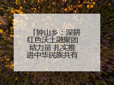 钟山乡：深耕红色沃土融聚团结力量 扎实推进中华民族共有精神家园建设