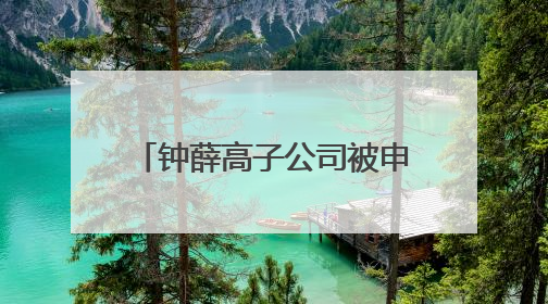 钟薛高子公司被申请破产 创始人账号“钟薛高老林”粉丝仅1800余人