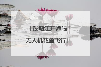 钱塘江开渔啦！无人机载鱼飞行