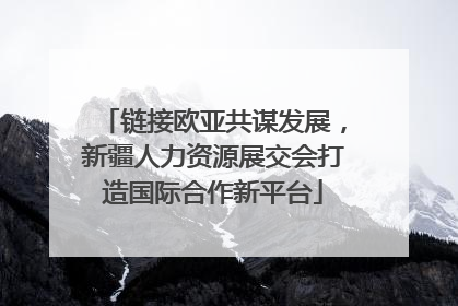 链接欧亚共谋发展，新疆人力资源展交会打造国际合作新平台