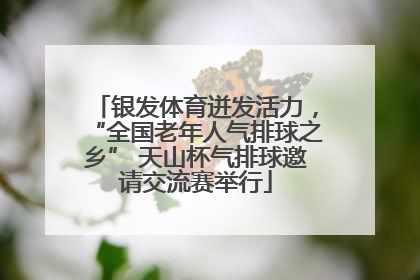 银发体育迸发活力，“全国老年人气排球之乡” 天山杯气排球邀请交流赛举行