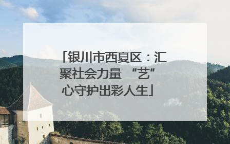 银川市西夏区：汇聚社会力量 “艺”心守护出彩人生