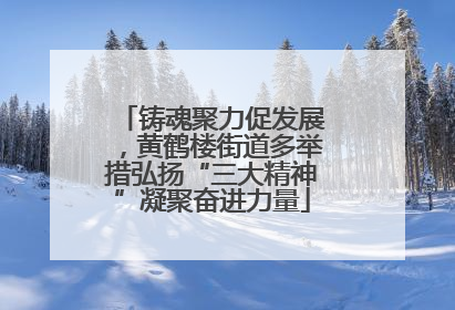 铸魂聚力促发展，黄鹤楼街道多举措弘扬“三大精神”凝聚奋进力量
