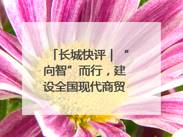 长城快评｜“向智”而行，建设全国现代商贸物流重要基地