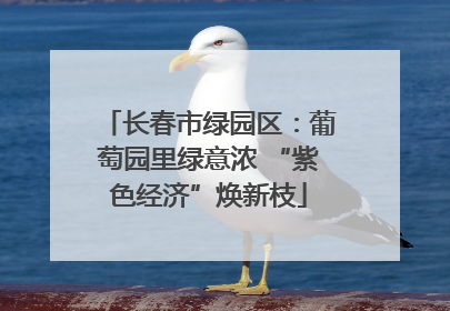 长春市绿园区：葡萄园里绿意浓 “紫色经济”焕新枝
