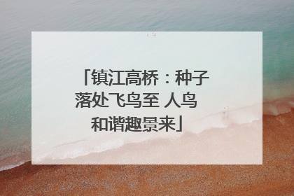 镇江高桥：种子落处飞鸟至 人鸟和谐趣景来