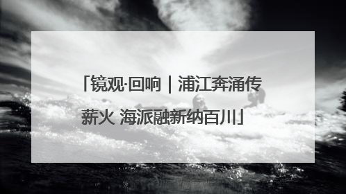 镜观·回响｜浦江奔涌传薪火 海派融新纳百川