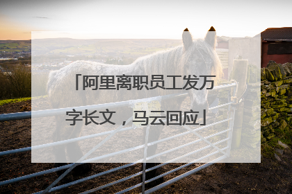 阿里离职员工发万字长文，马云回应