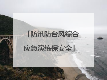 防汛防台风综合应急演练保安全