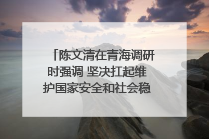 陈文清在青海调研时强调 坚决扛起维护国家安全和社会稳定职责使命 为谱写中国式现代化青海篇章贡献政法力量