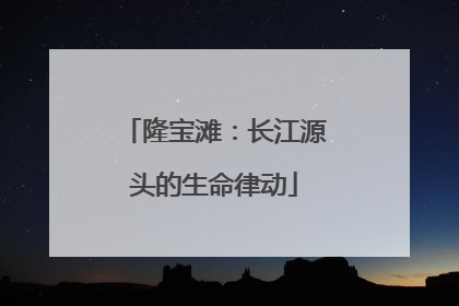 隆宝滩：长江源头的生命律动