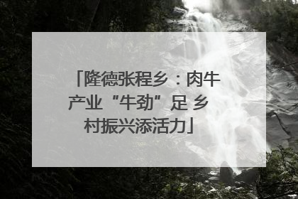 隆德张程乡：肉牛产业“牛劲”足 乡村振兴添活力