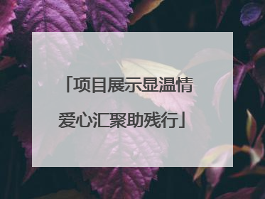 项目展示显温情 爱心汇聚助残行