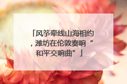 风筝牵线山海相约，潍坊在伦敦奏响“和平交响曲”