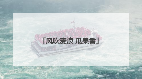 风吹麦浪 瓜果香