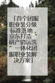 首个团服职业装分级标准落地，京东打造“研产销运洗”一体化团服职业装解决方案