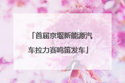 首届京堰新能源汽车拉力赛鸣笛发车