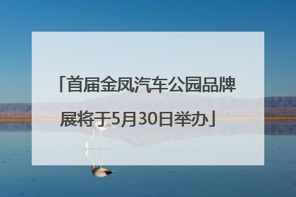 首届金凤汽车公园品牌展将于5月30日举办