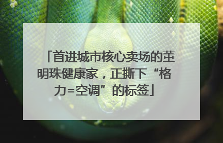 首进城市核心卖场的董明珠健康家，正撕下“格力=空调”的标签