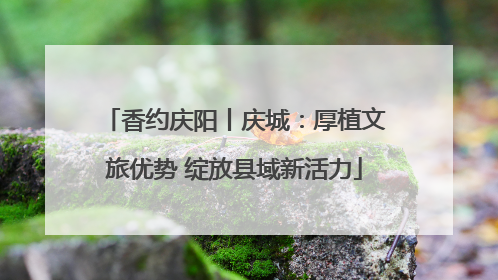 香约庆阳丨庆城：厚植文旅优势 绽放县域新活力
