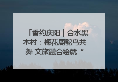 香约庆阳｜合水黑木村：梅花鹿鸵鸟共舞 文旅融合绘就“诗与远方”