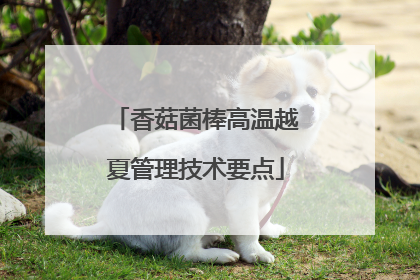 香菇菌棒高温越夏管理技术要点