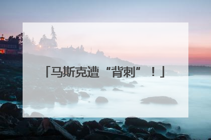 马斯克遭“背刺”！