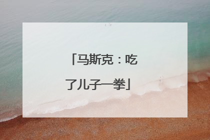 马斯克：吃了儿子一拳