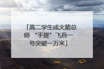 高二学生成火箭总师 “手搓”飞燕一号突破一万米