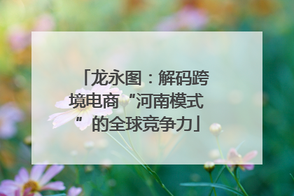 龙永图：解码跨境电商“河南模式”的全球竞争力
