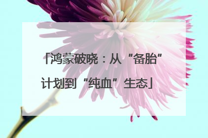 鸿蒙破晓：从“备胎”计划到“纯血”生态