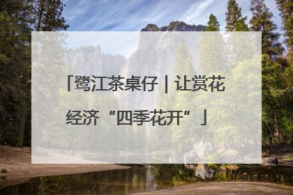 鹭江茶桌仔｜让赏花经济“四季花开”