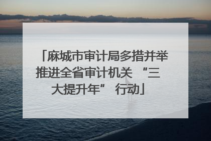 麻城市审计局多措并举推进全省审计机关 “三大提升年” 行动