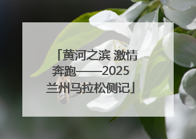 黄河之滨 激情奔跑——2025兰州马拉松侧记