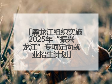 黑龙江组织实施2025年“振兴龙江”专项定向就业招生计划