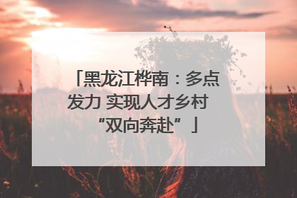 黑龙江桦南：多点发力 实现人才乡村“双向奔赴”