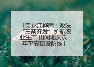 黑龙江桦南：政法“三箭齐发”护航农业生产 田间地头筑牢平安建设防线